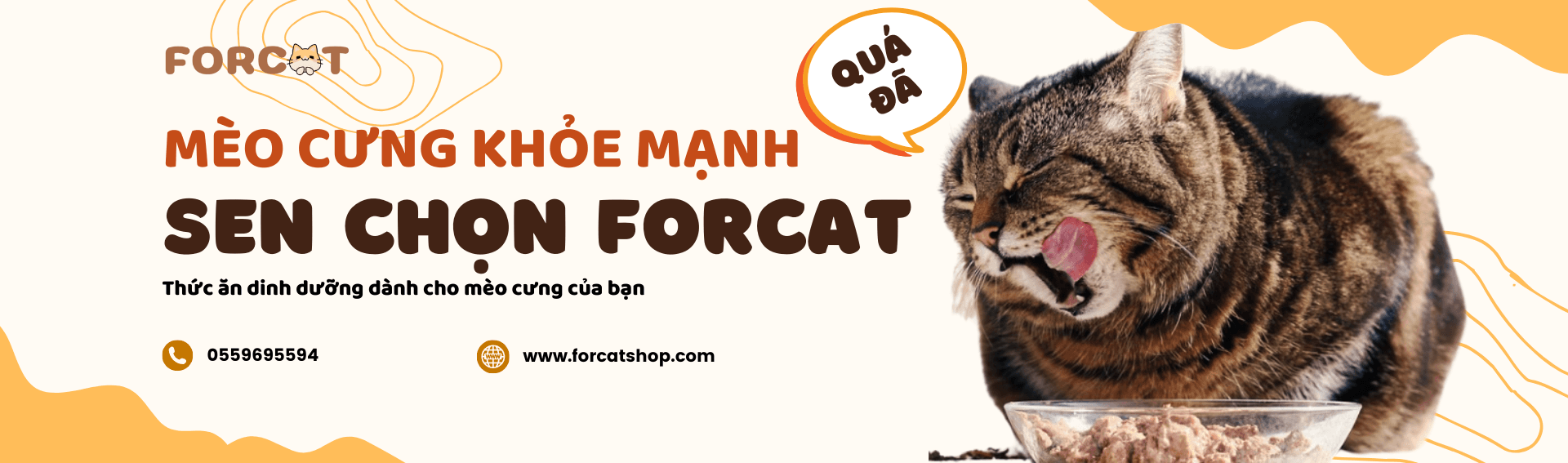 FORCATSHOP-Nơi mua đồ ăn cho mèo